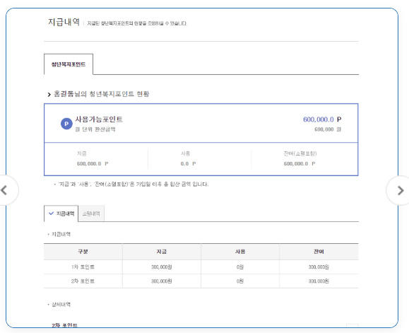 2025 경기도 청년복지포인트 2차, 한눈에 보기