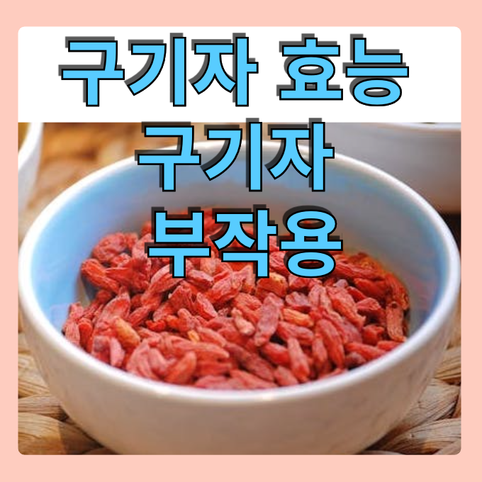 구기자 효능 구기자 부작용