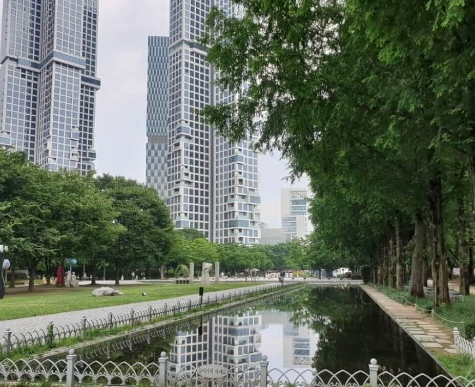 2025 서울숲 튤립 구경 가이드 관련사진