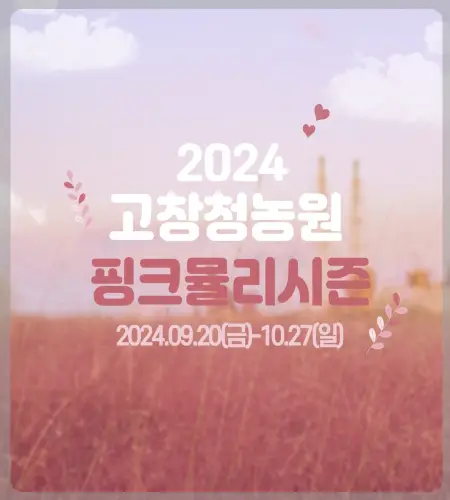 고창 핑크뮬리 축제_1