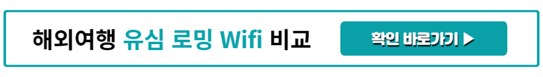 해외여행 유심 로밍 Wifi 비교