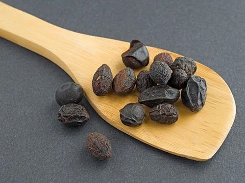 쏘팔메토 열매 사진