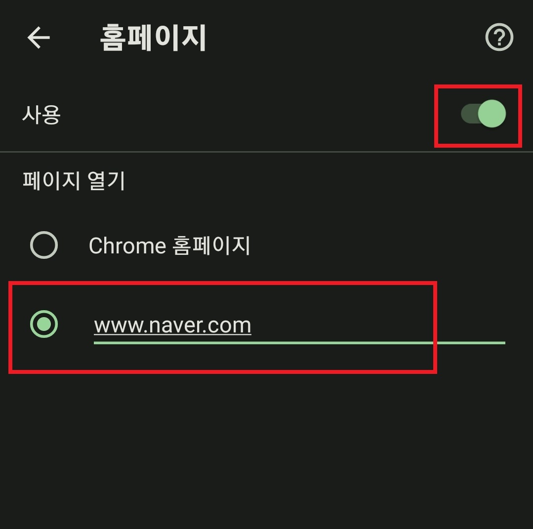 크롬 시작 페이지 설정하는 방법 13