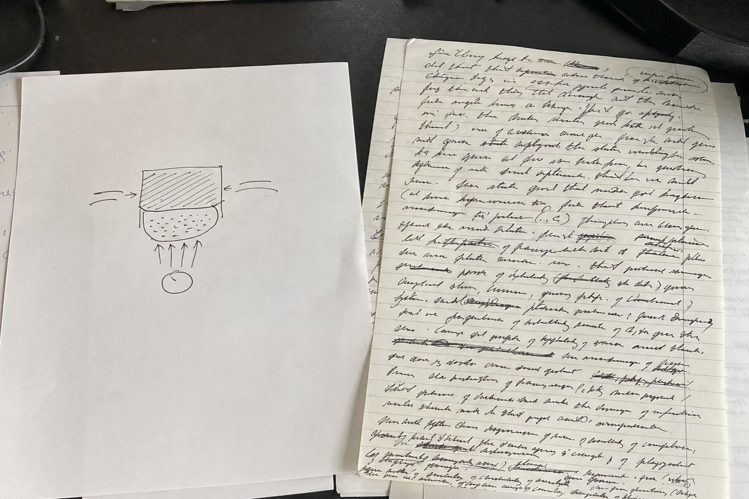 긴 빽빽한 글 옆 작고 또렷한 그림 한 장 사진