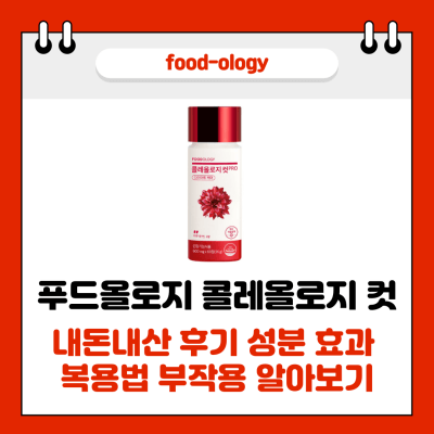 푸드올로지 콜레올로지 컷 썸네일