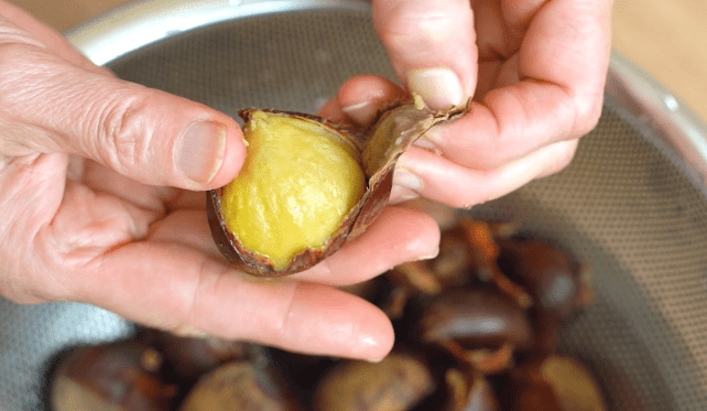 밤 삶는법 다섯번째