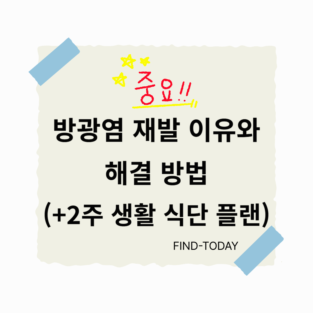 방광염 재발 이유와 해결 방법 (+2주 생활 식단 플랜)