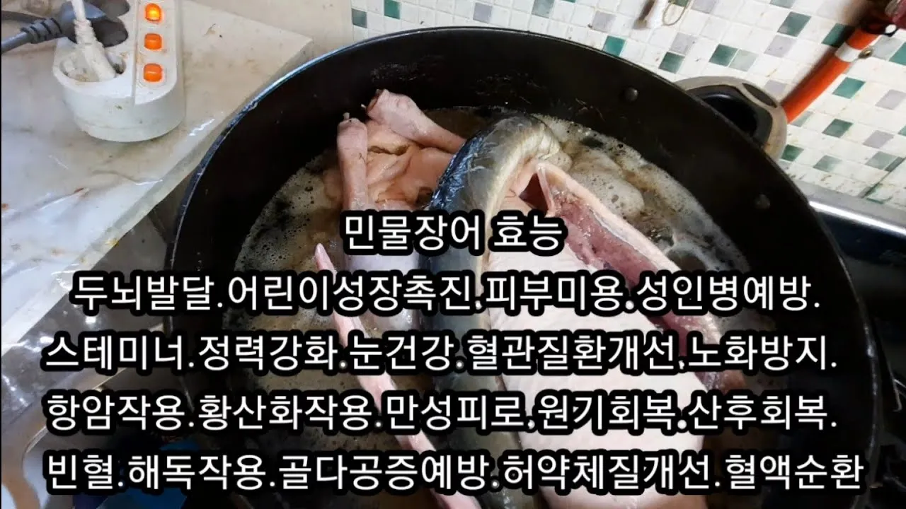 장어 효능 장어와 상극인 음식 건강 상식_3