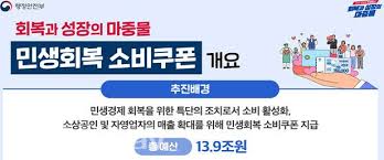 민생소비쿠폰