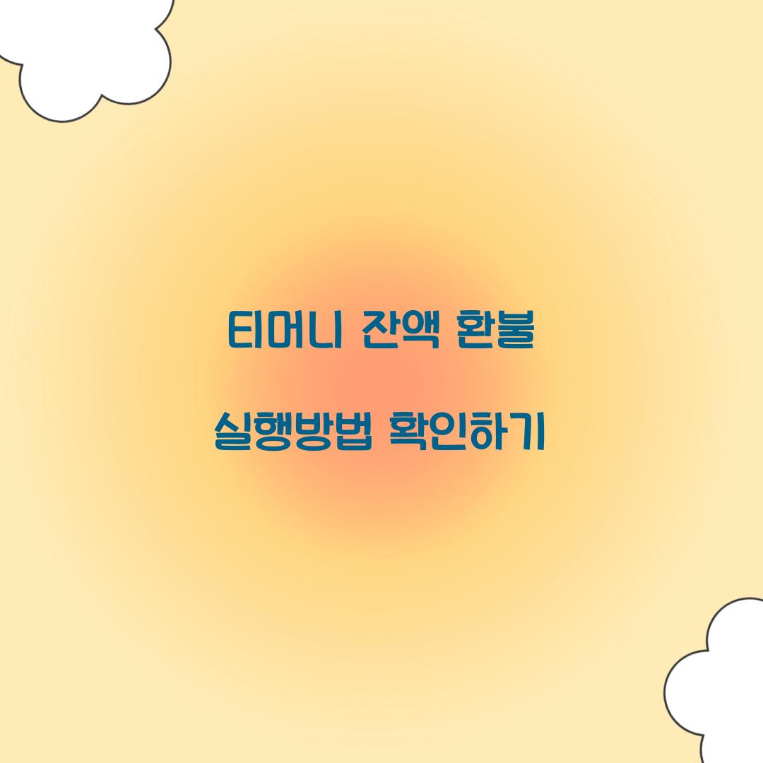 티머니 잔액 환불