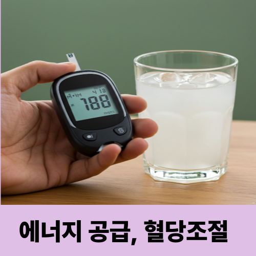 운동 효과 2배