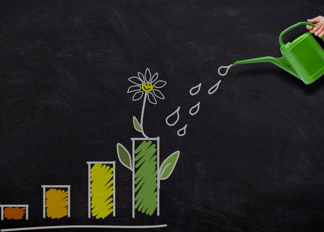 한국 젋은 세대의 투자법