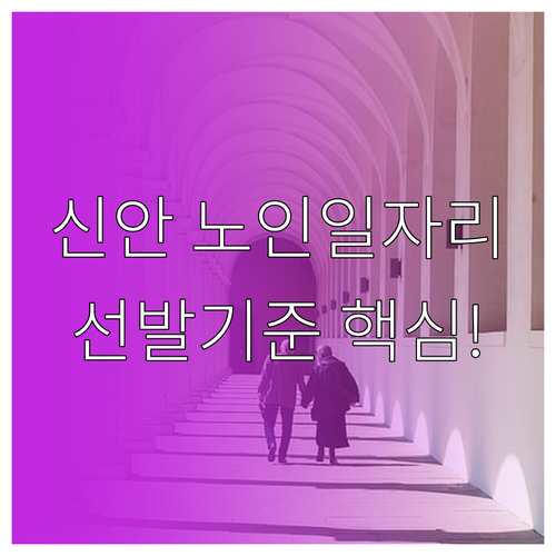 신안군 시니어클럽 주요 사업 안내 및..