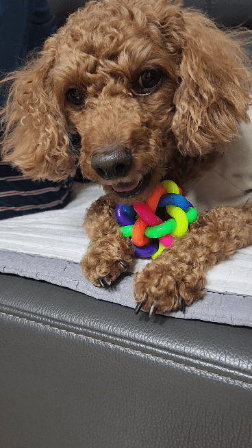 갤럭시gif완성