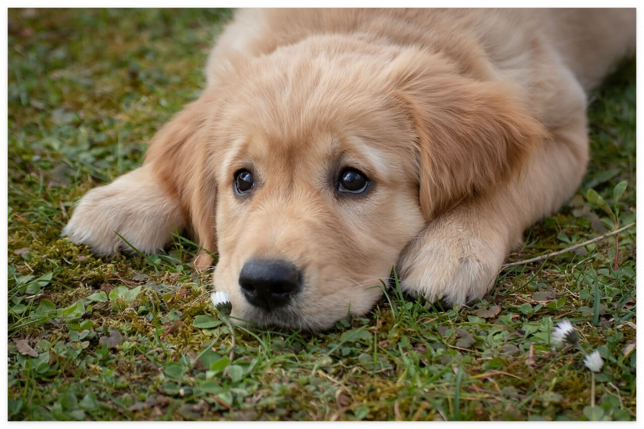 확인서 발급 소요시간 안내
