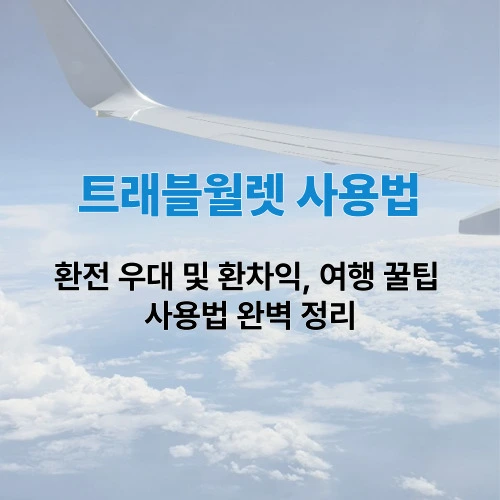 트래블월렛 사용법 완벽 정복