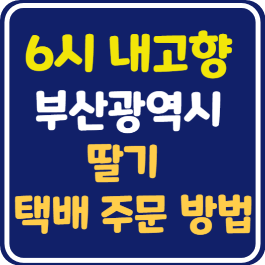 6시 내고향 부산 딸기 택배 주문 방법