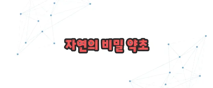 잔대 효능 이보다 자세히 설명할순없다