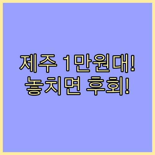 2025년 제주 항공권 1만원대 확보..