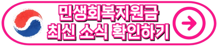 민생회복지원금 정책
