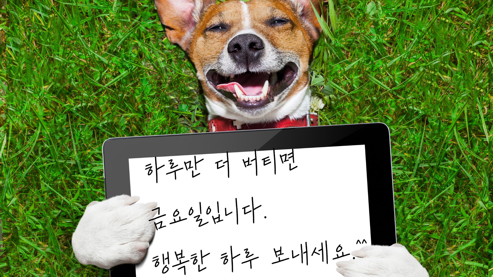 목요일 아침 인사말 문구 이미지 모음