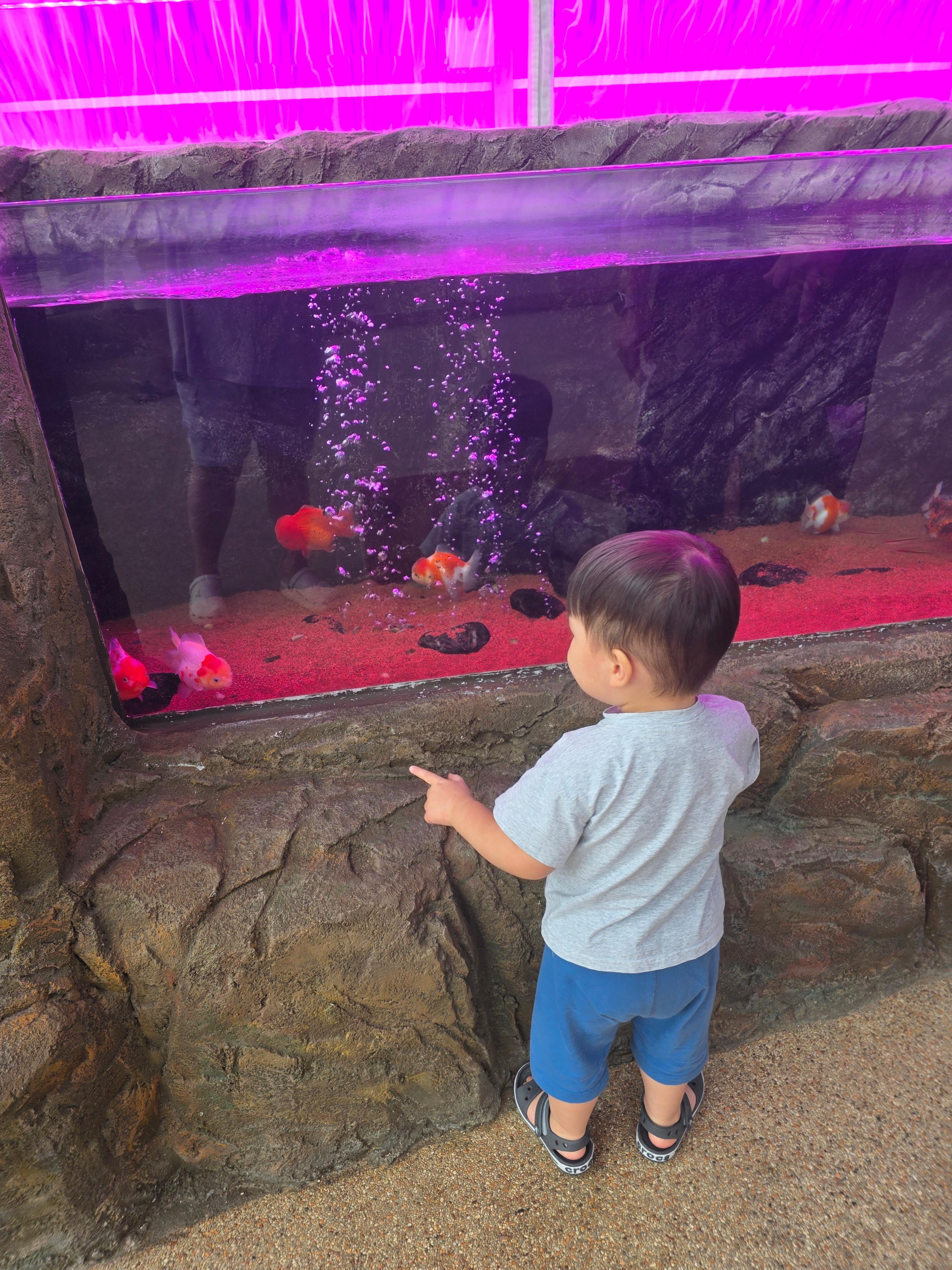 제천 아열대 스마트 온실 아이랑