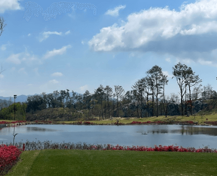 2025 오로라월드 레이디스 챔피언십 무료티켓 주차장 갤러리 총정리