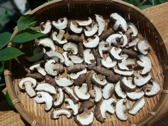 김장 김치 쉽고 맛있게 담는 육수 재료중 건표고