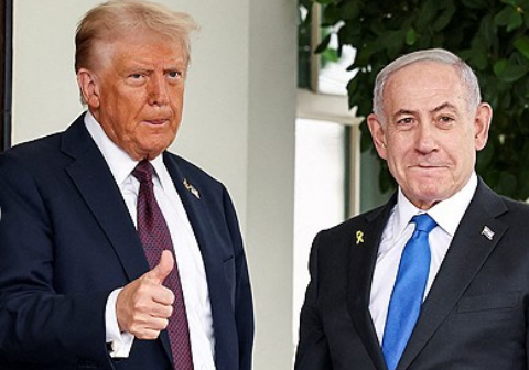 도널드 트럼프 미국 대통령