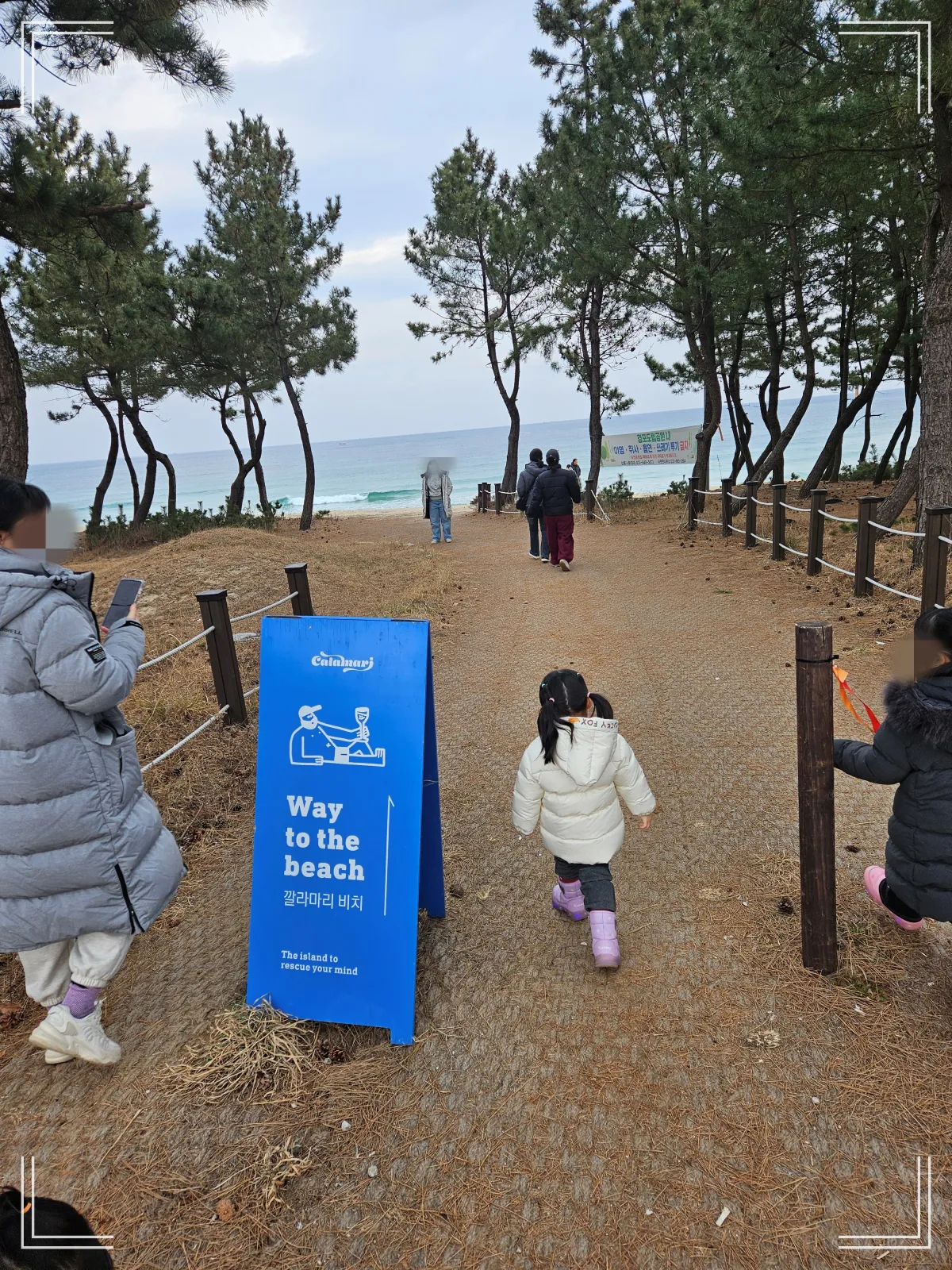 바닷가-산책길-소나무 해변