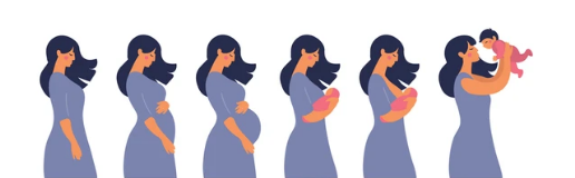 첫만남이용권이란