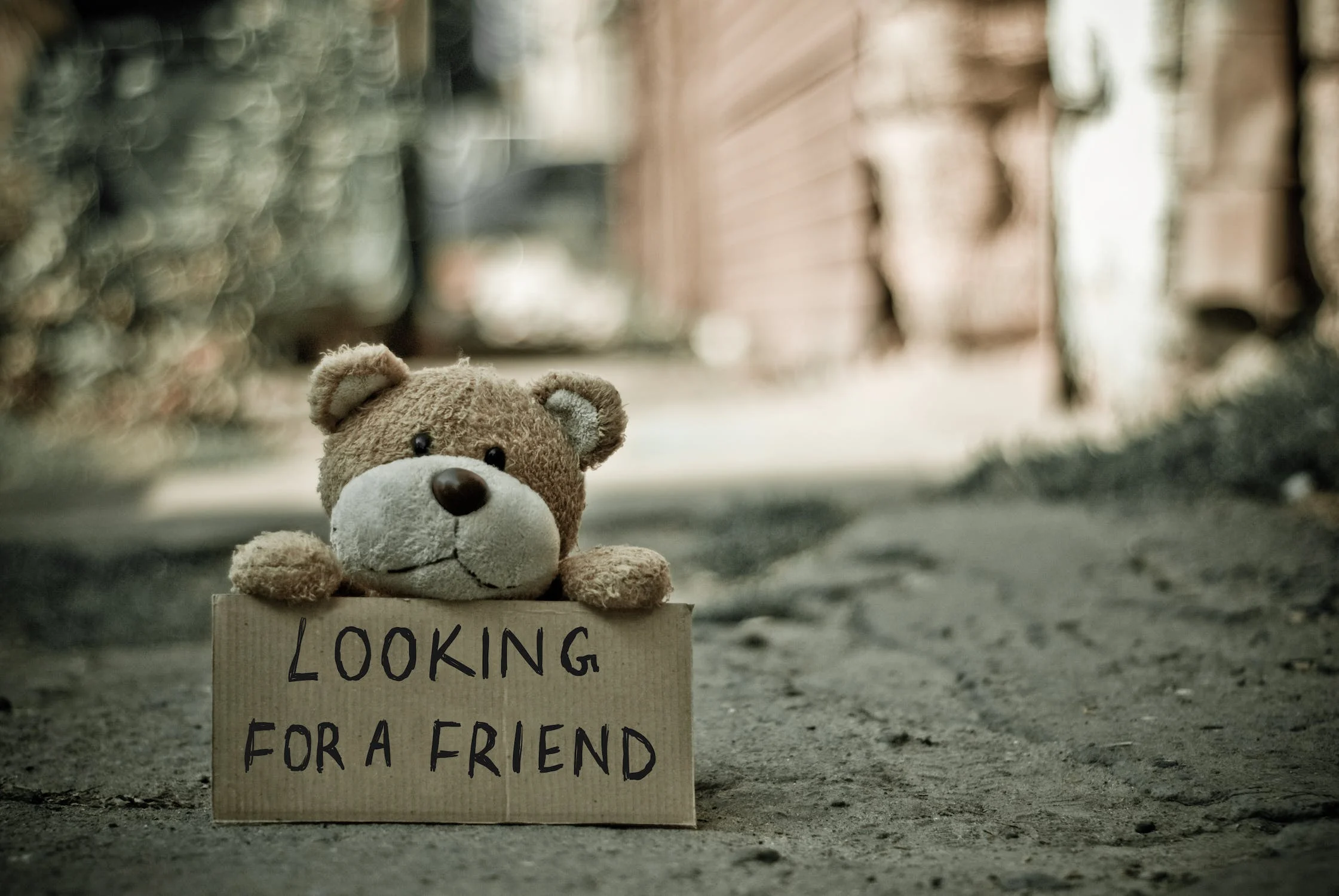 곰돌이 인형이 looking for a friend라는 푯말을 들고 있다.