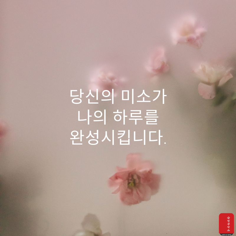 사랑 글귀 좋은 글 사랑의 글 모음 이미지