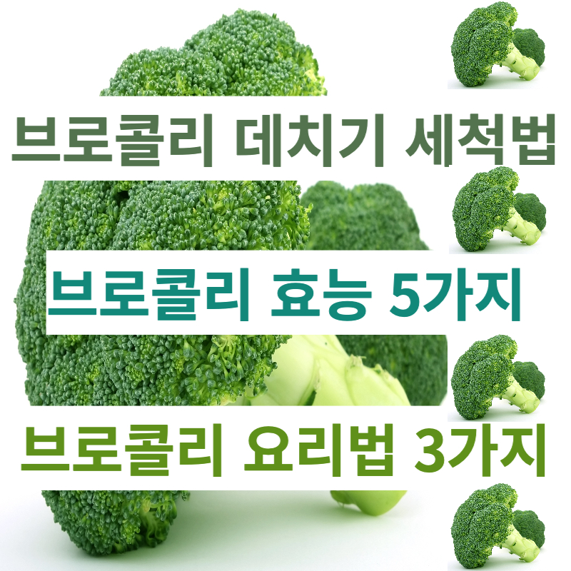 브로콜리 데치기 세척 3분 시간 브로콜리 효능 부작용 (feat. 요리법)