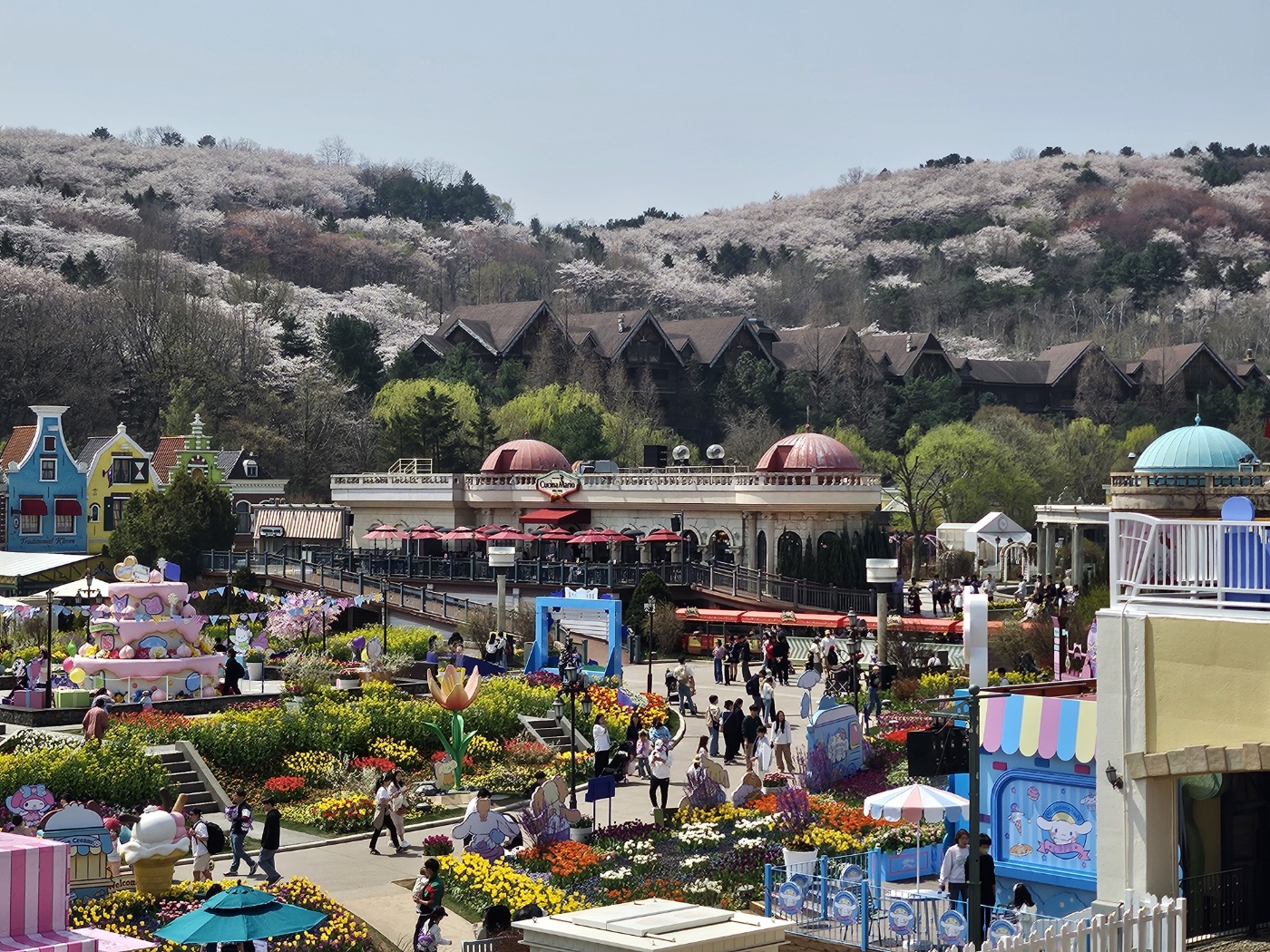 튤립축제 포시즌가든