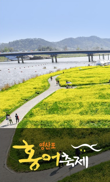 영산포 홍어축제