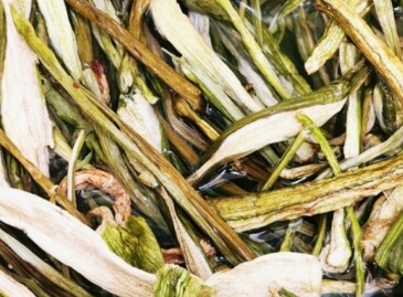 토란대 나물볶음 제대로 만드는 법과 맛있게 먹는 팁