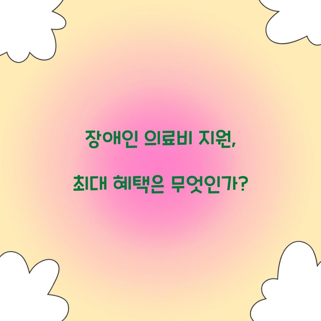 장애인 의료비 지원