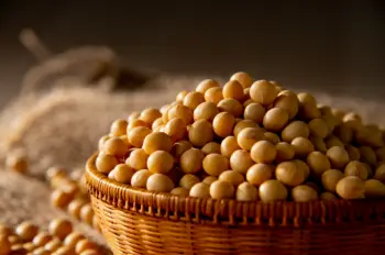 청국장 효능 및 영양성분&amp;#44; 주의점