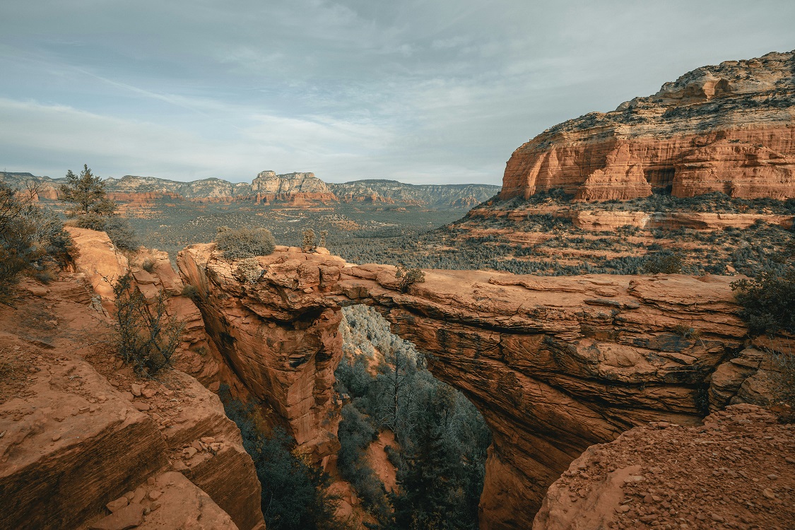 전 세계 희귀한 직업 – 북아메리카의 독특한 직업