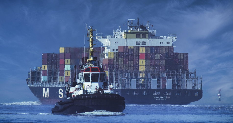 해외배송의 모습