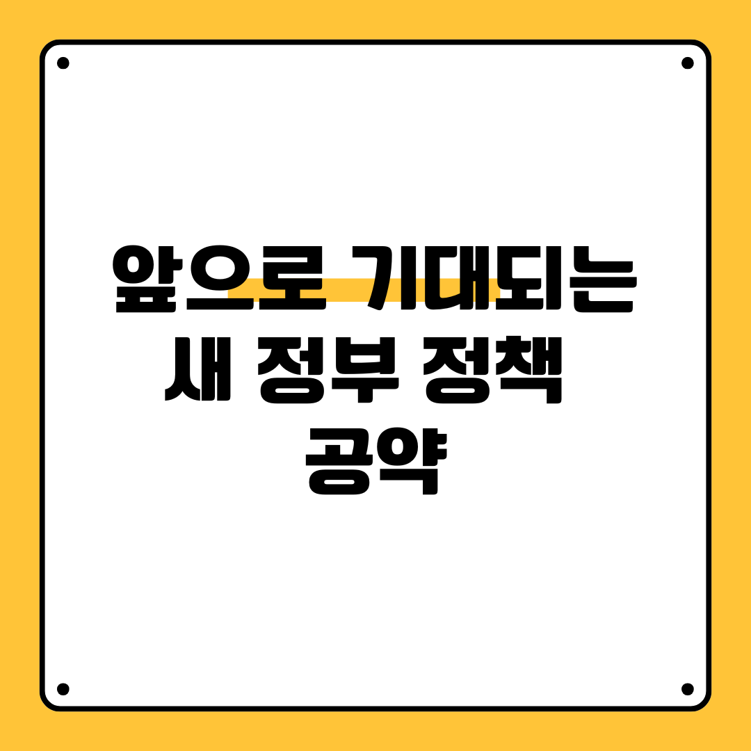 앞으로 기대되는 새 정부 정책 공약