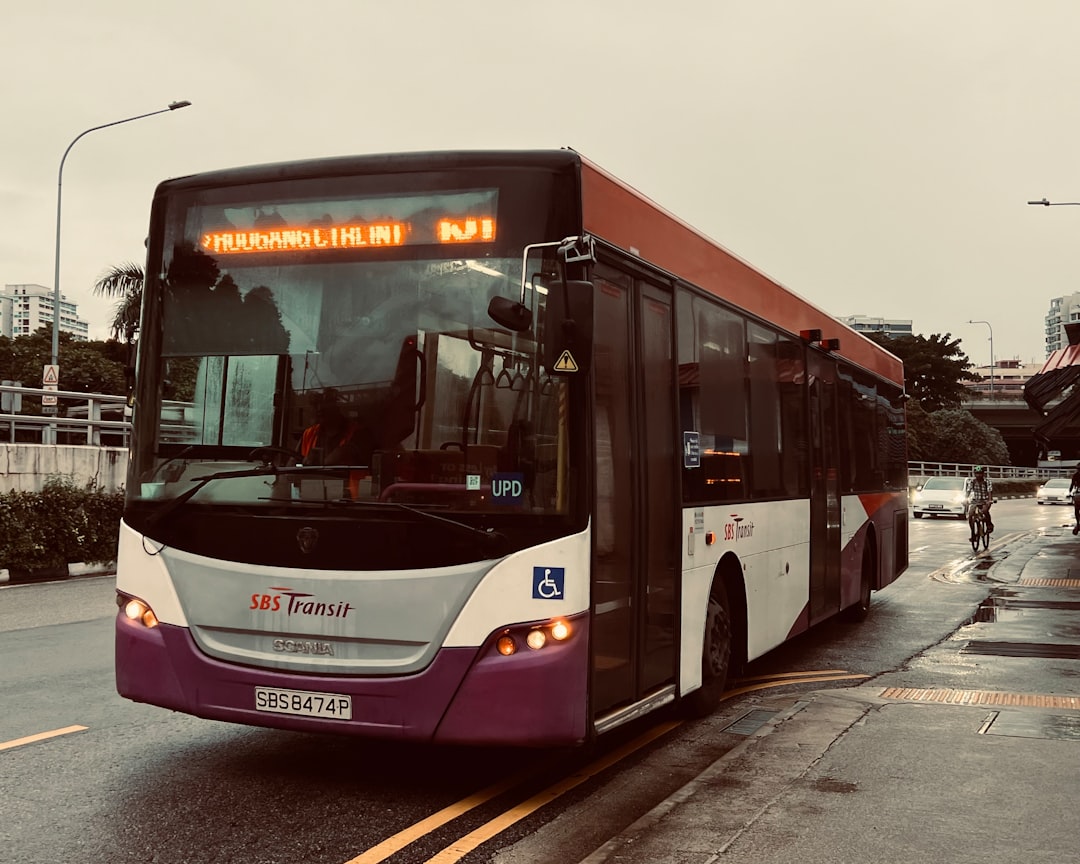 Bus.