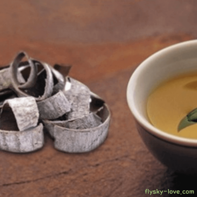 관절 건강에 효과적인 두충차