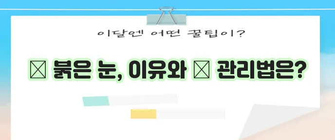 눈 충혈 원인과 해결책 명확하게 알려드립니다!