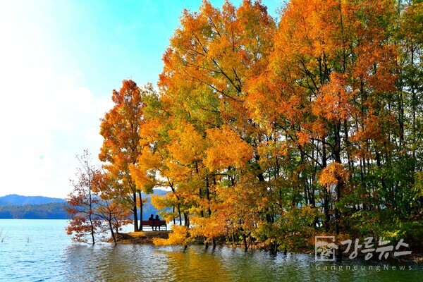 소금산 출렁다리 풍경(갤러리)