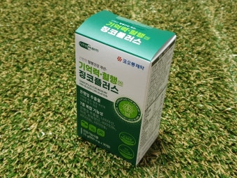 은행잎 추출물 영양제