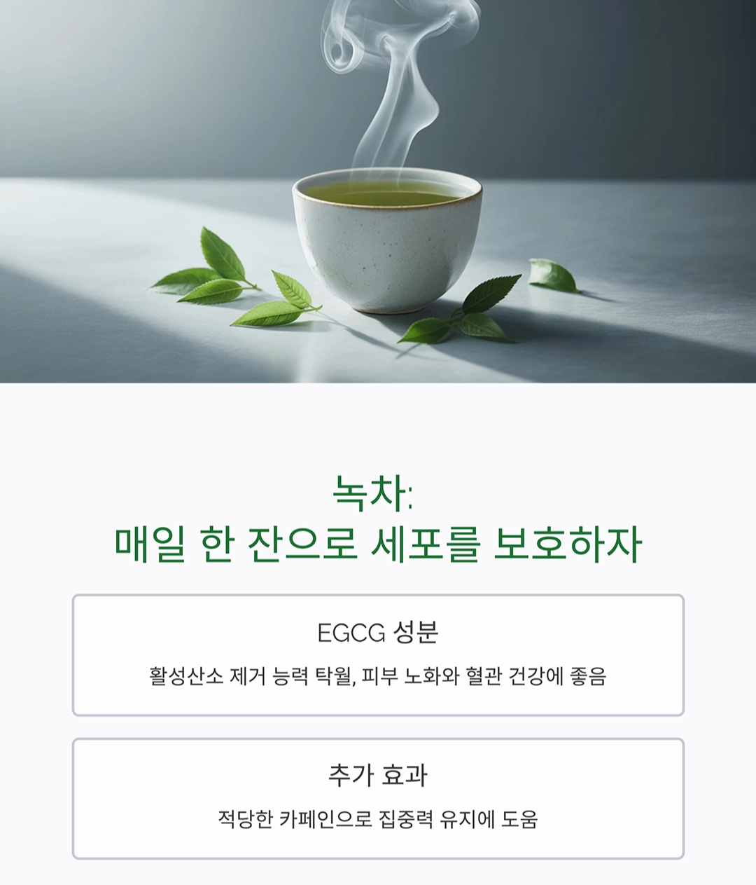 항산화 식품 TOP 10, 젊음을 지켜주는 비밀의 열쇠