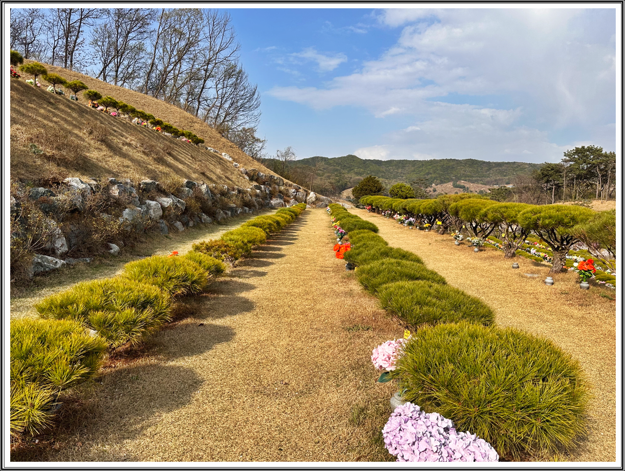 용인 수목장 가격