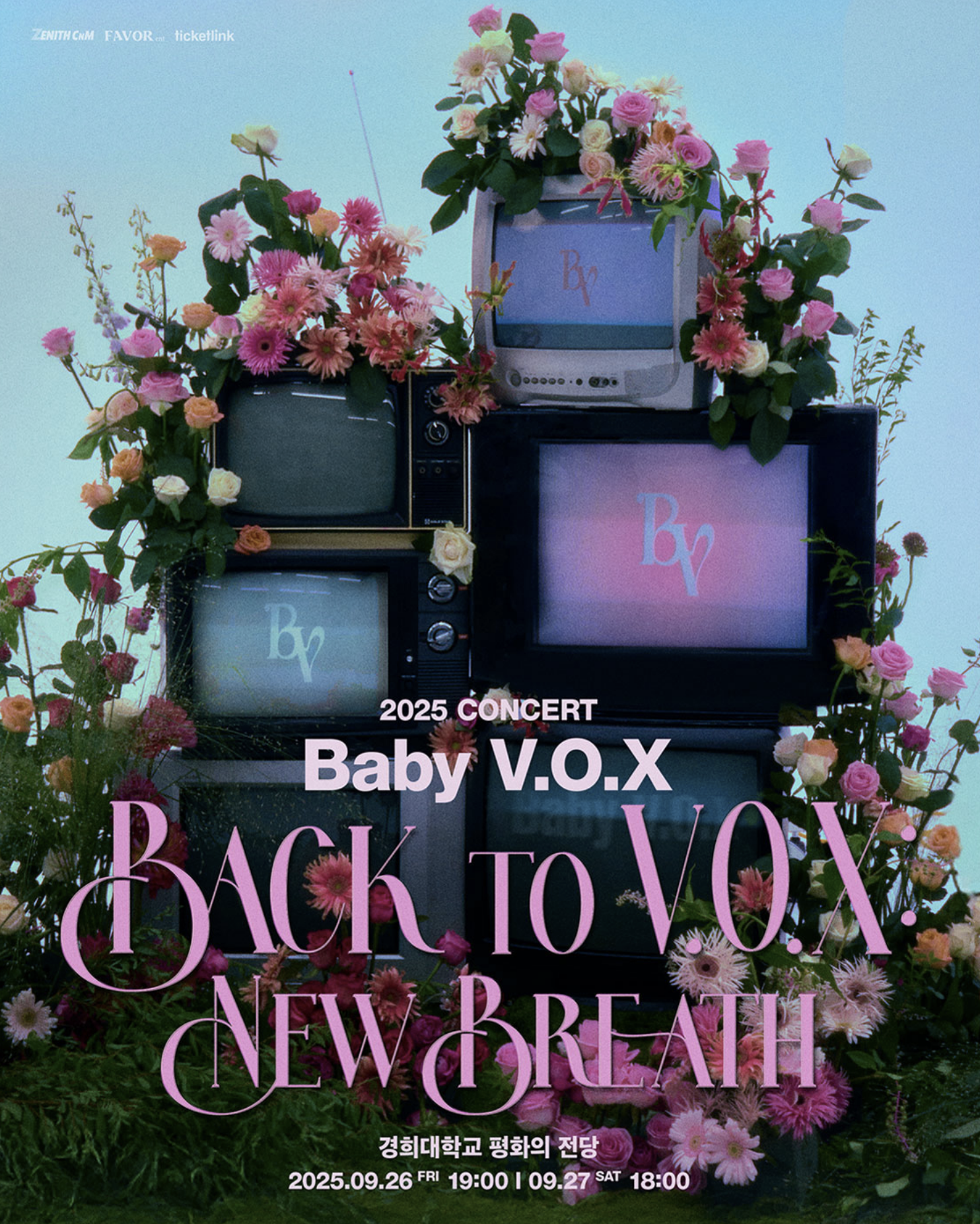 베이비복스 콘서트